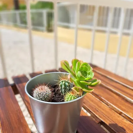 Апартаменты Flat Caballero Гия