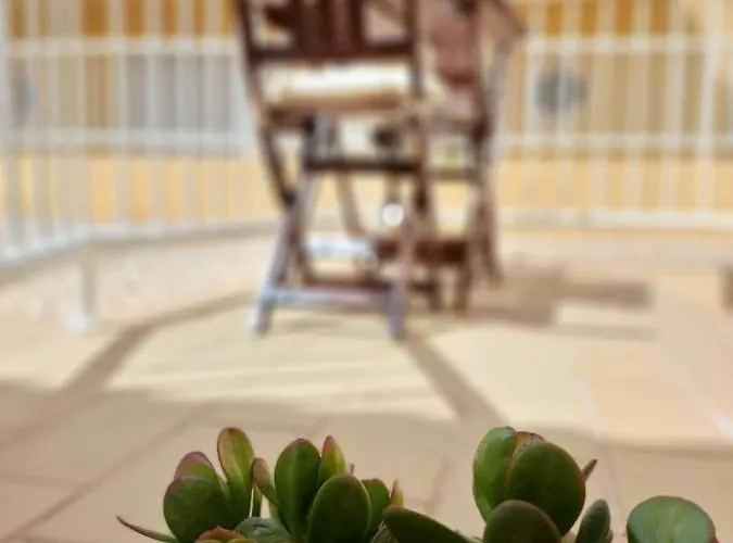 아파트 Flat Caballero