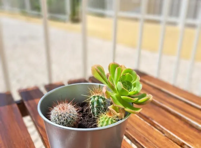 아파트 Flat Caballero 기아