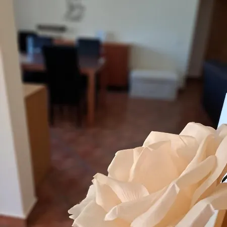 Apartment Flat Caballero *